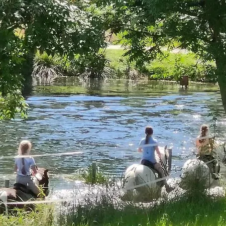 Tinyhousebeidresden Mit Fasssauna Zwischen Den Teichen Und Auf Der Pferdekoppel Kaminofen Terrasse Klimaanlage Vakantiehuis *