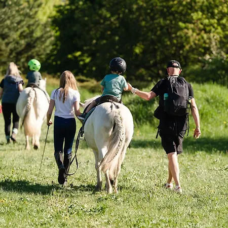 Tinyhousebeidresden Mit Fasssauna Zwischen Den Teichen Und Auf Der Pferdekoppel Kaminofen Terrasse Klimaanlage Holiday home Grossharthau