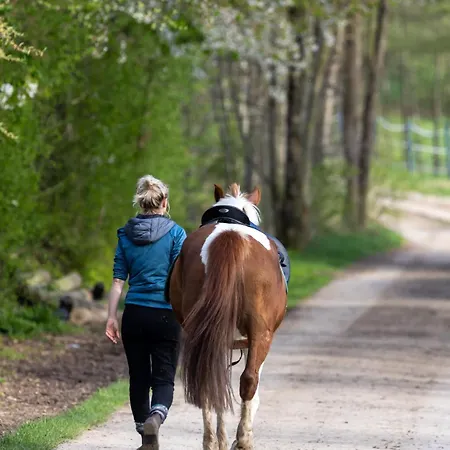 Tinyhousebeidresden Mit Fasssauna Zwischen Den Teichen Und Auf Der Pferdekoppel Kaminofen Terrasse Klimaanlage Lauterbach (Rugen)