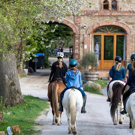 Tinyhousebeidresden Mit Fasssauna Zwischen Den Teichen Und Auf Der Pferdekoppel Kaminofen Terrasse Klimaanlage *