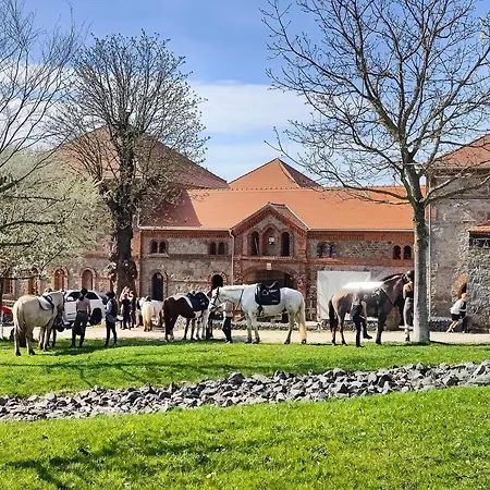Holiday home Tinyhousebeidresden Mit Fasssauna Zwischen Den Teichen Und Auf Der Pferdekoppel Kaminofen Terrasse Klimaanlage Grossharthau