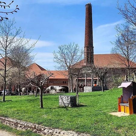 Tiny House Mit Kaminofen & Terrasse Direkt An Naturteichen - Bis 5 Personen - Fuer Kurzentschlossene Hébergement de vacances *