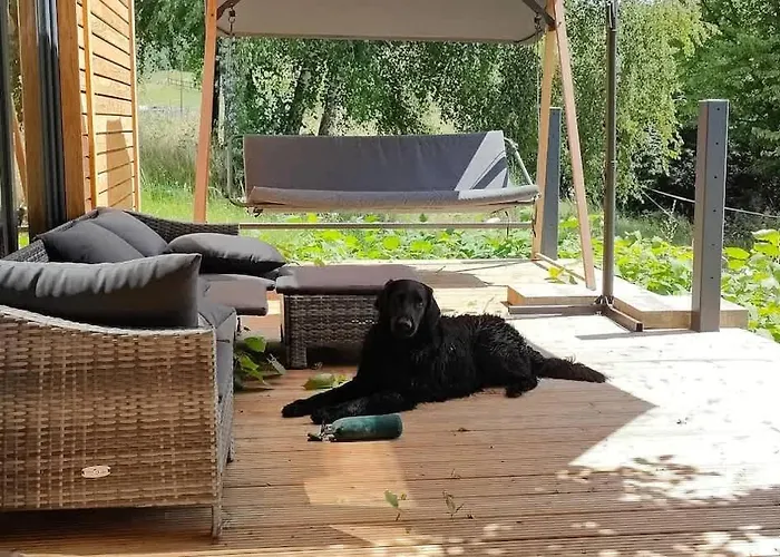 Tinyhousebeidresden Mit Fasssauna Zwischen Den Teichen Und Auf Der Pferdekoppel Kaminofen Terrasse Klimaanlage Holiday home