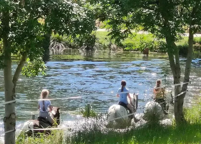 Tinyhousebeidresden Mit Fasssauna Zwischen Den Teichen Und Auf Der Pferdekoppel Kaminofen Terrasse Klimaanlage Holiday home *