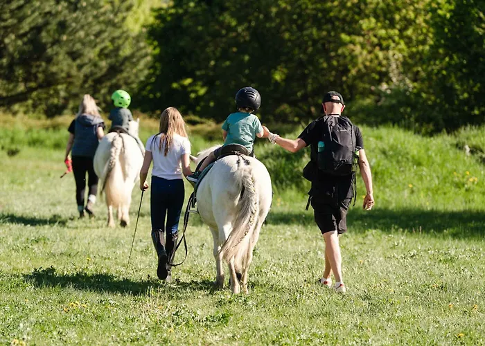 Tinyhousebeidresden Mit Fasssauna Zwischen Den Teichen Und Auf Der Pferdekoppel Kaminofen Terrasse Klimaanlage Holiday home Grossharthau