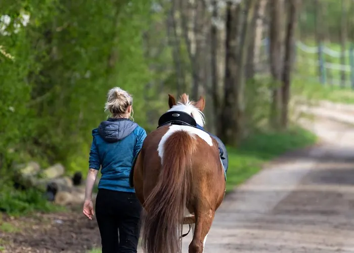 Tinyhousebeidresden Mit Fasssauna Zwischen Den Teichen Und Auf Der Pferdekoppel Kaminofen Terrasse Klimaanlage Grossharthau