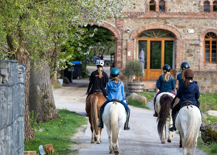 Tinyhousebeidresden Mit Fasssauna Zwischen Den Teichen Und Auf Der Pferdekoppel Kaminofen Terrasse Klimaanlage *