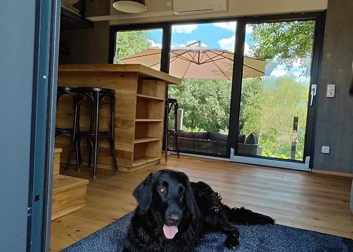 Tinyhousebeidresden Mit Fasssauna Zwischen Den Teichen Und Auf Der Pferdekoppel Kaminofen Terrasse Klimaanlage 別荘 *
