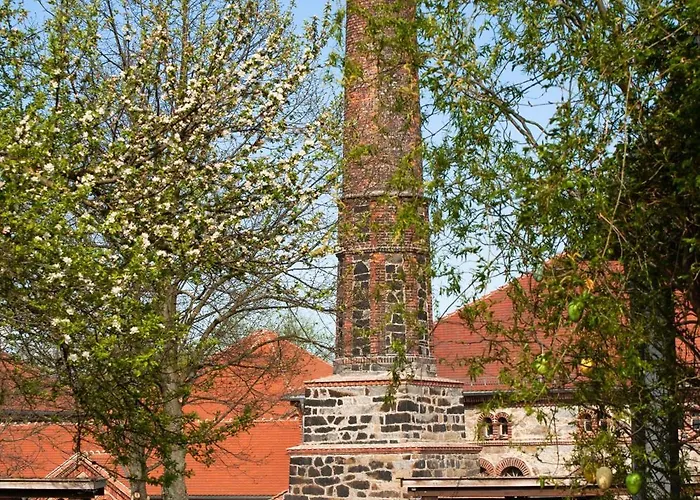 Tinyhousebeidresden Mit Fasssauna Zwischen Den Teichen Und Auf Der Pferdekoppel Kaminofen Terrasse Klimaanlage