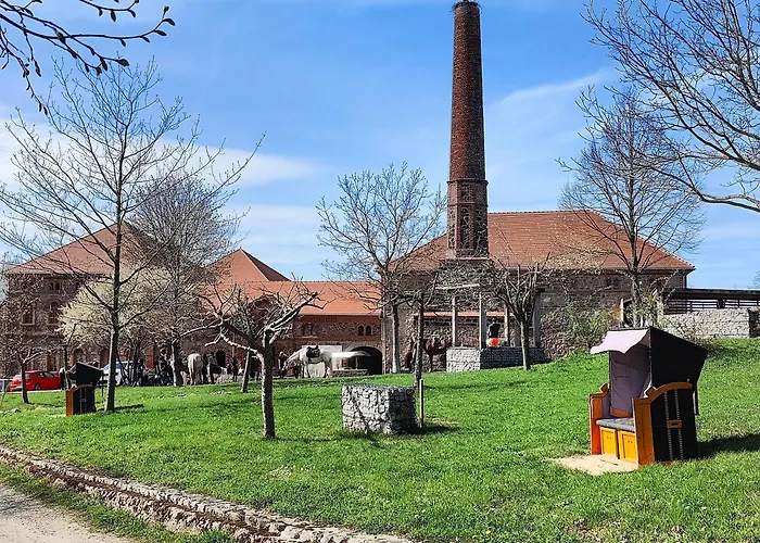 Tinyhousebeidresden Mit Fasssauna Zwischen Den Teichen Und Auf Der Pferdekoppel Kaminofen Terrasse Klimaanlage Holiday home *